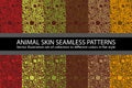 Color circles animal skin Seamless Pattern vector texture eps 10 illustration Leopard repeating background Royalty Free Stock Photo