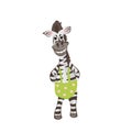 Color clip art of zebra boy. Royalty Free Stock Photo