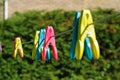 Color clothespegs on washline