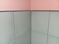 Color Concept Gray Ceramic Tiles and Pink Wall