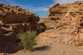 Color conyon in Sinai desert, Egypt