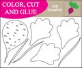 Color, cut and glue to create the image of beet vegetable. Educational game for children. Vector illustration.