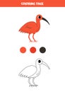 Color cute cartoon scarlet ibis. Worksheet for kids.