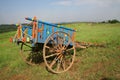 Color decorated rural bullock cart India Royalty Free Stock Photo