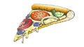 Color Delicious Italian Slice Pizza Hand Drawn Vector