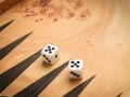 Color detail of a Backgammon game with two dice Royalty Free Stock Photo