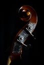 Vintage double bass head Royalty Free Stock Photo