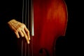 Vintage double bass Royalty Free Stock Photo