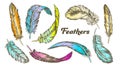 Color Different Feathers Set Ink Vector