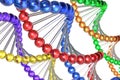 Color DNA molecules