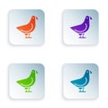 Color Dove icon isolated on white background. Set colorful icons in square buttons. Vector