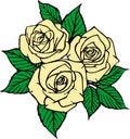 color drawing of a bouquet of three pink roses with a black outline on a white background