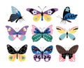 Color drawing butterfly set Royalty Free Stock Photo
