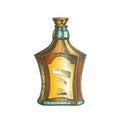 Color Drawn Scotch Bottle With Style Cork Cap Vector