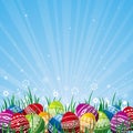Color easter eggs, vector