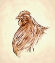 Color engrave isolated chicken illustration