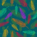 Color feathers pattern