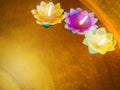 Color filtered: Candle in the flowers colorful holders floating Royalty Free Stock Photo