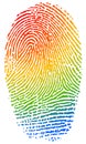 Color fingerprint