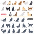 Color flat and simple cats breeds icons set