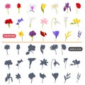 Color flat and simple garden flowers icons set