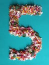 color flower petals forming the number 5 and green backgruound