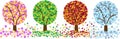 Color four seasons trees Royalty Free Stock Photo