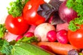 Color Fresh beautiful vegetables. Royalty Free Stock Photo