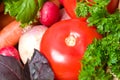 Color Fresh beautiful vegetables. yield Royalty Free Stock Photo