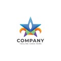 Color Full Star logo design modern style 