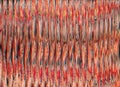 color glitch background noise texture red orange