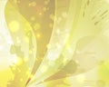 Color gold yellow abstract background texture