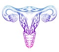 Color gradient contour anatomical sketch of the uterus. Healthy female body. Woman power. Uterus with tube and ovaries. Vector