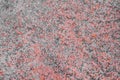 Color and gray detail surface granite tile wall texture floor background