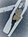 Color guard rifles and gloves on ground during marching band practice Royalty Free Stock Photo