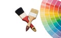 Color guide for selection and paintbrush Royalty Free Stock Photo