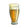 Color Hand Drawn Glass With Foam Bubble Beer Vector Royalty Free Stock Photo