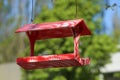 Color handmade bird feeder hanging outdoors on sunny day Royalty Free Stock Photo