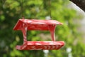 Color handmade bird feeder hanging outdoors on sunny day Royalty Free Stock Photo