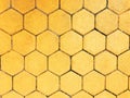 Color Hexagonal block bricks texture