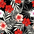 Color hibiscus on the black white leaves seamless background Royalty Free Stock Photo