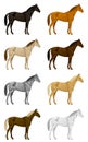 Color horse set Royalty Free Stock Photo