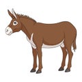 Color illustration with brown donkey, mule. Isolated vector object.