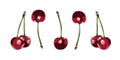 Color illustration of a cherrys on a white background. The curb. .