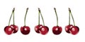 Color illustration of a cherrys on a white background. The curb. .