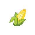 Vector illustration. Corn symbol sign