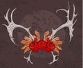 Color illustration deer antlers with roses and feathers.