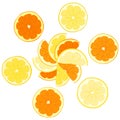 Color illustration of fresh orange and lemon slices. Royalty Free Stock Photo