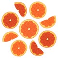 Color illustration of fresh orange slices. Royalty Free Stock Photo