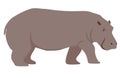 Color illustration of a hippopotamus. Cartoon illustration of a hippopotamus. Isolated vector object on white background Royalty Free Stock Photo